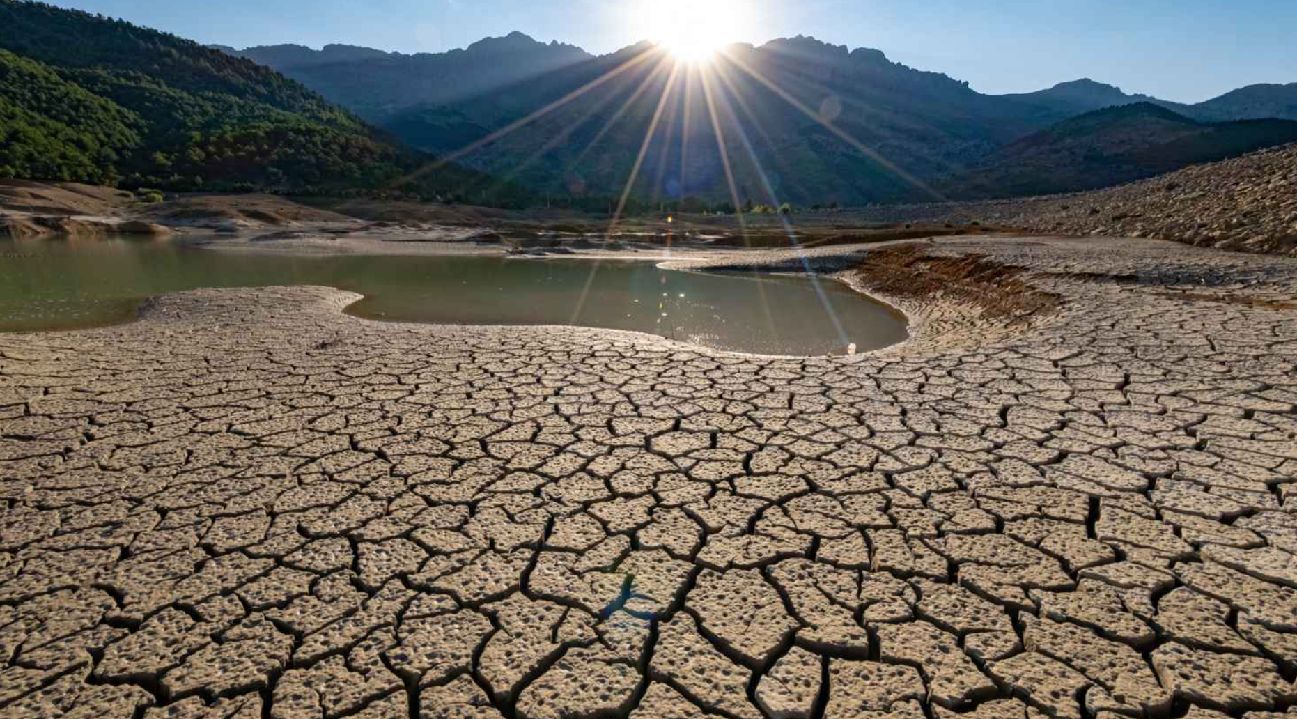 Ocho de cada 10 municipios presentan sequía en Jalisco